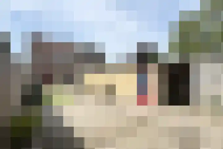 Edvard Griegstraat 11 Fijnaart thumbnail 6