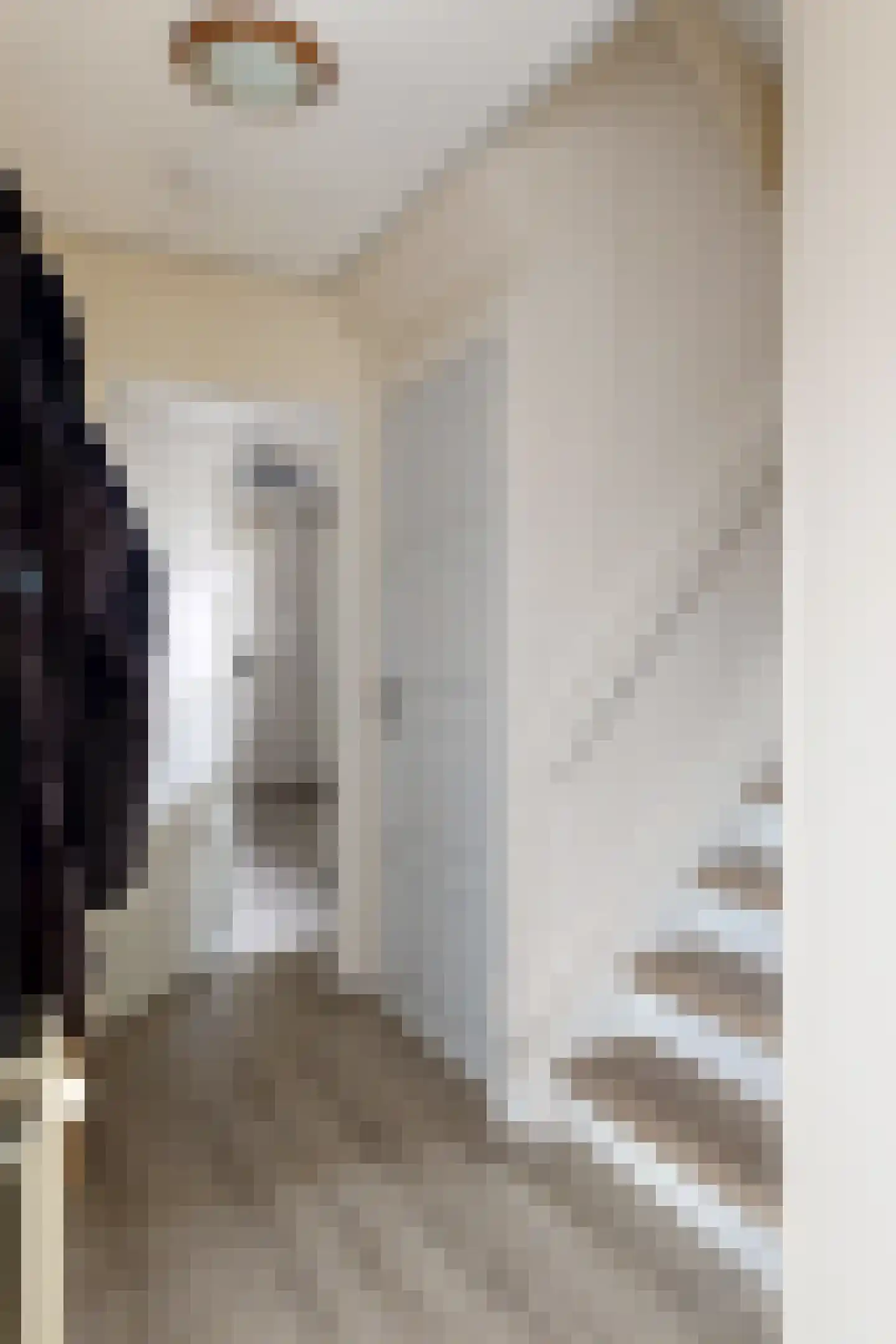 Edvard Griegstraat 6 Fijnaart thumbnail 10