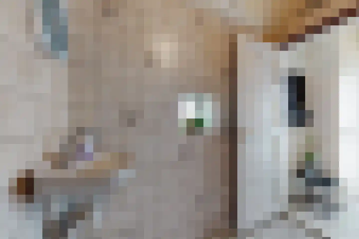 Edvard Griegstraat 6 Fijnaart thumbnail 14