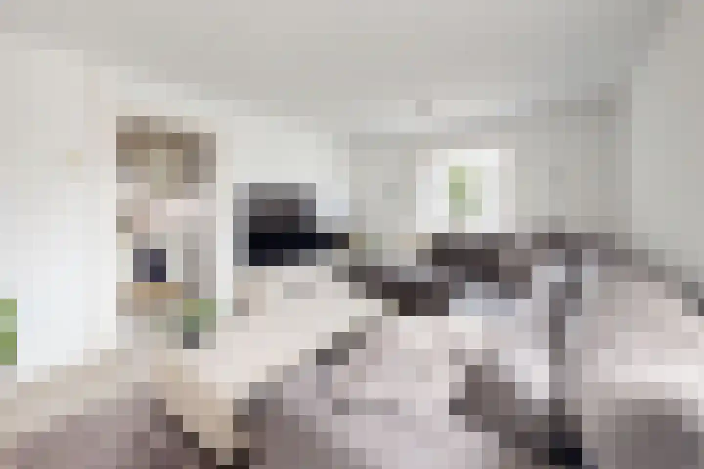 Edvard Griegstraat 6 Fijnaart thumbnail 17