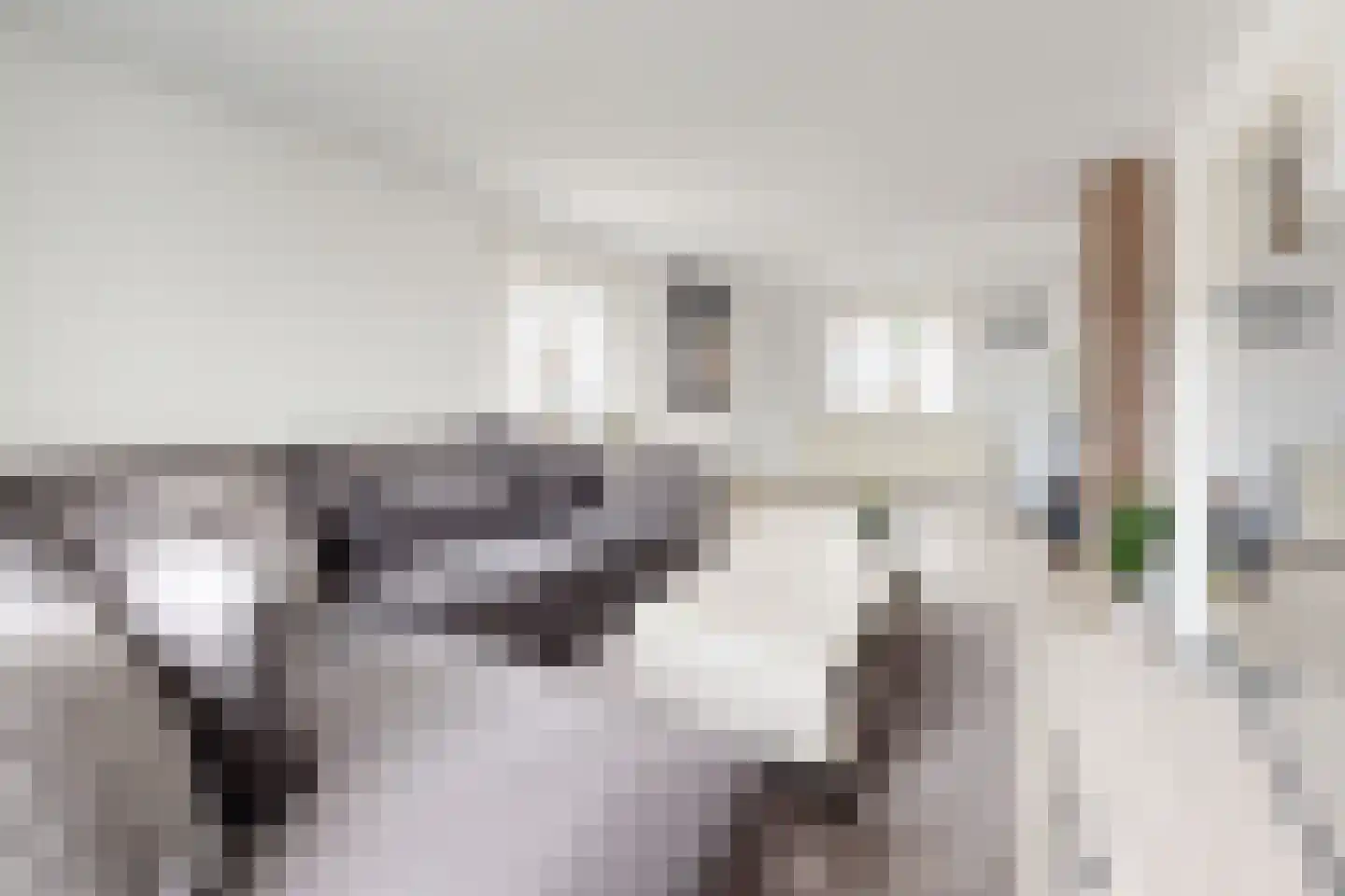 Edvard Griegstraat 6 Fijnaart thumbnail 18