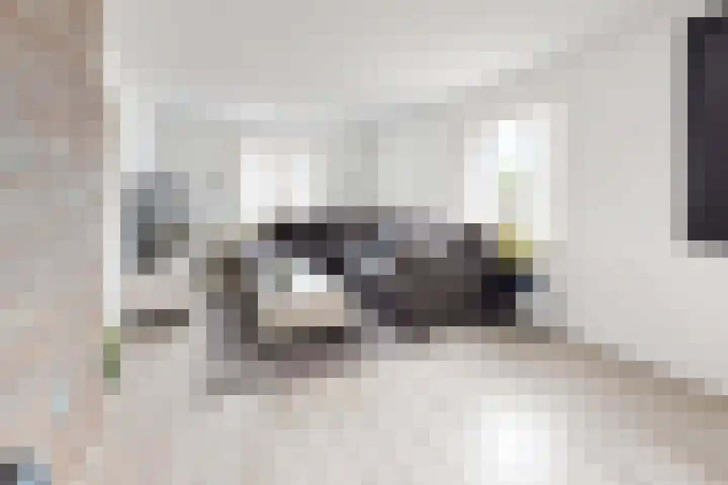 Edvard Griegstraat 6 Fijnaart thumbnail 19