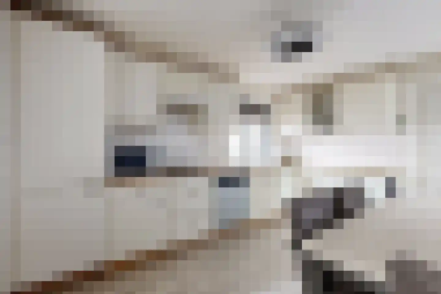 Edvard Griegstraat 6 Fijnaart thumbnail 27