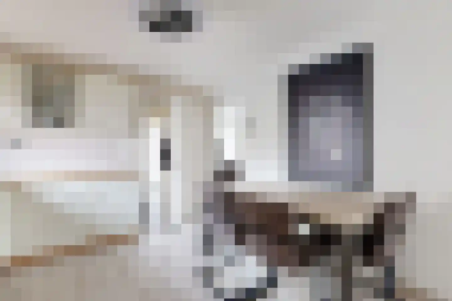 Edvard Griegstraat 6 Fijnaart thumbnail 29