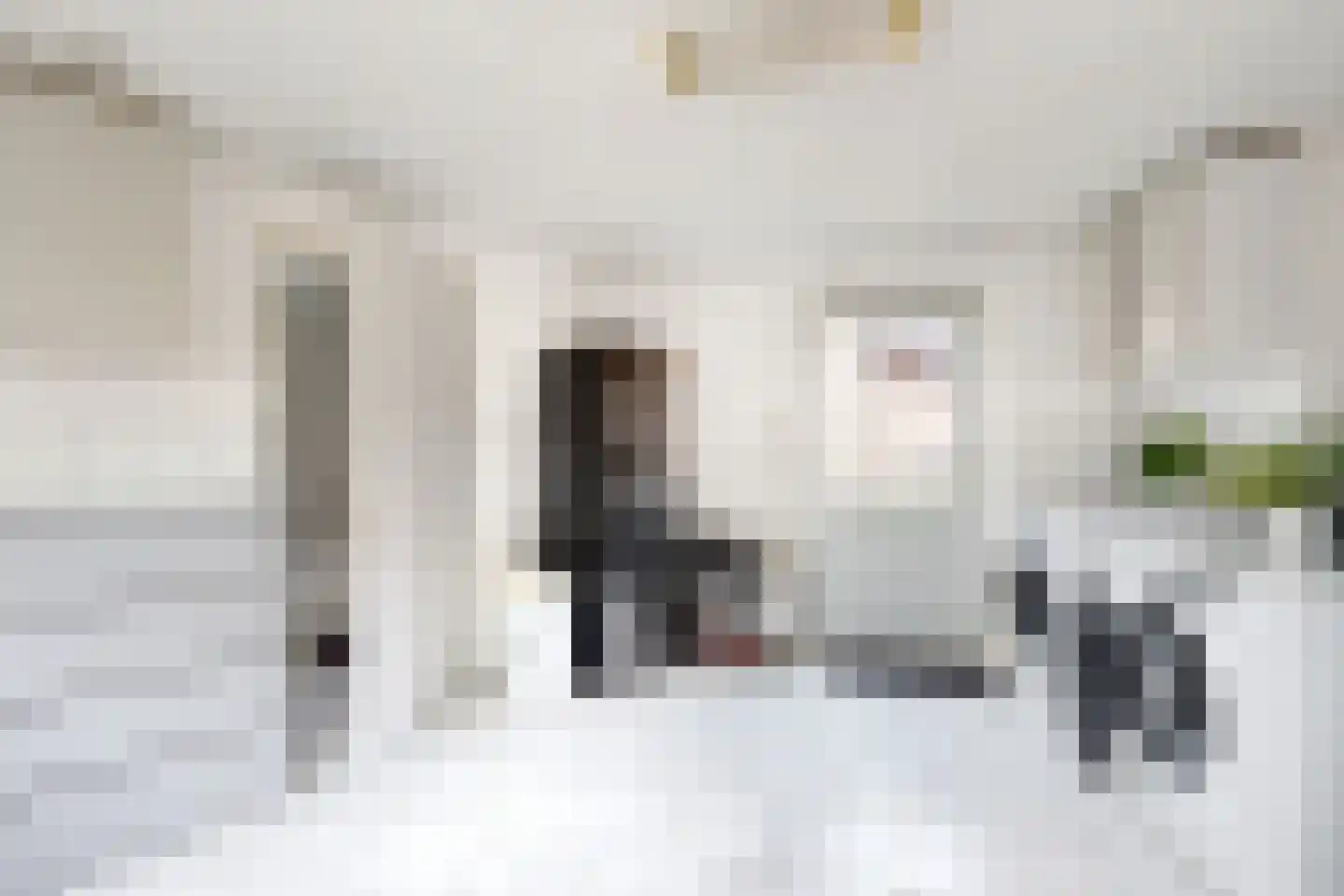 Edvard Griegstraat 6 Fijnaart thumbnail 31