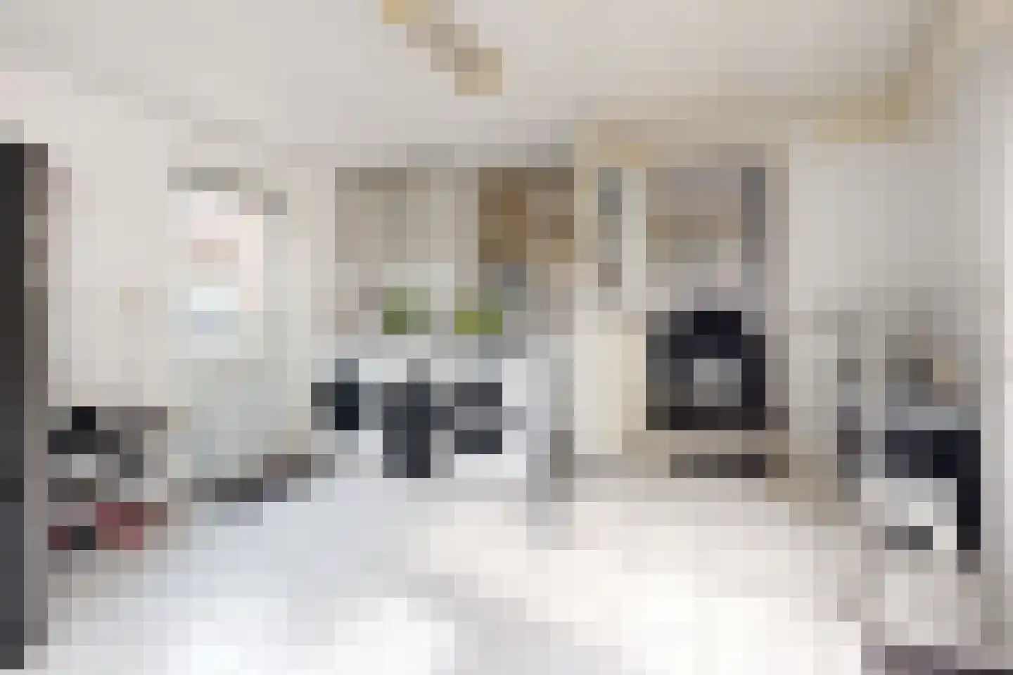 Edvard Griegstraat 6 Fijnaart thumbnail 32