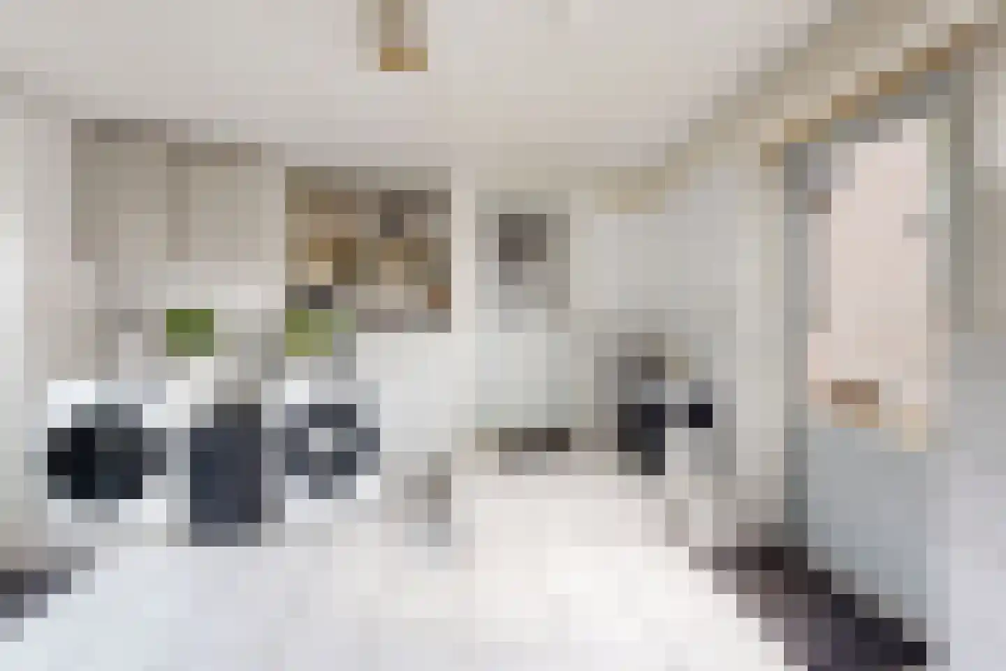 Edvard Griegstraat 6 Fijnaart thumbnail 33