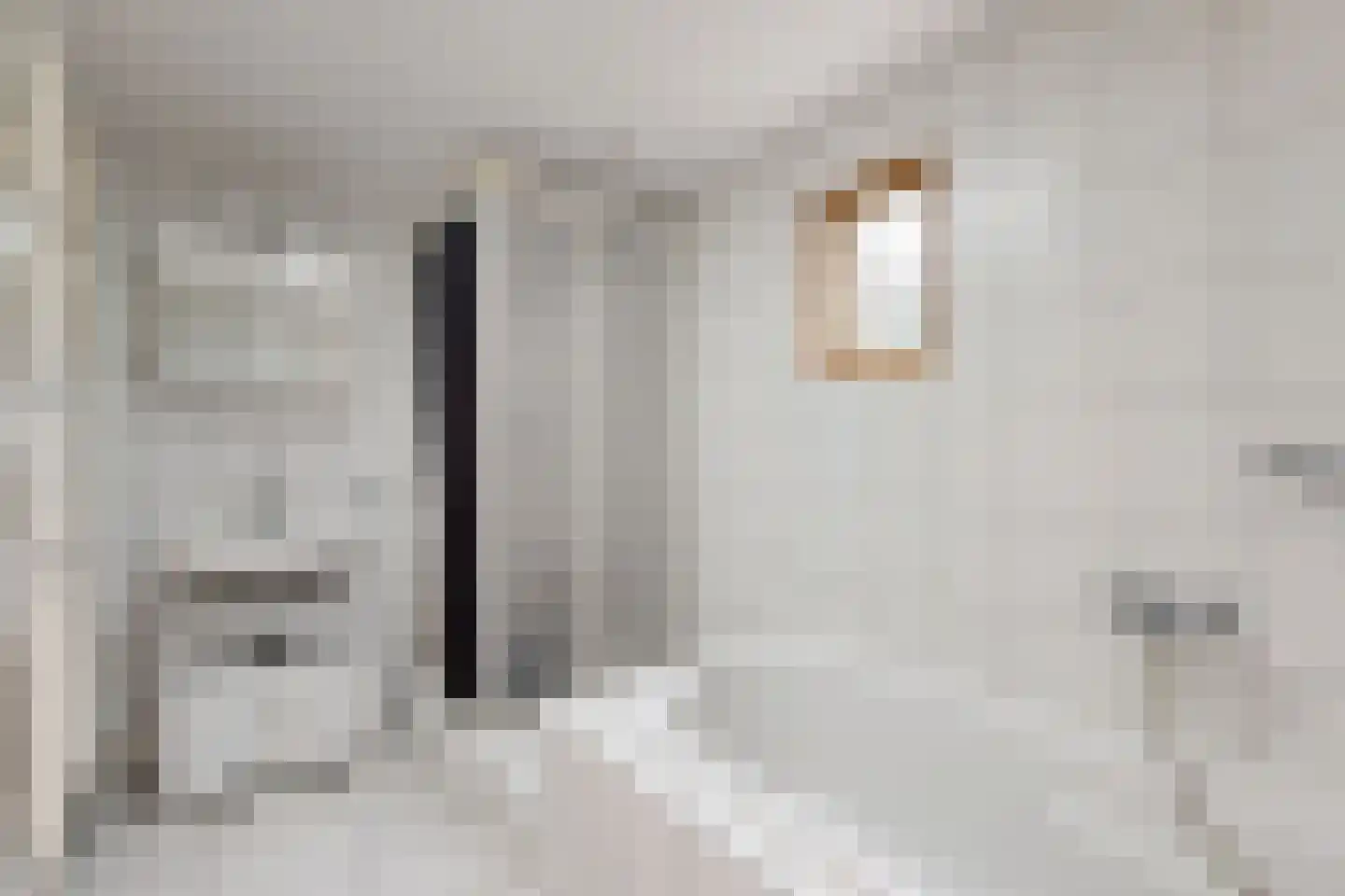 Edvard Griegstraat 6 Fijnaart thumbnail 34