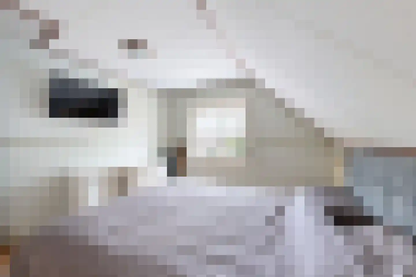 Edvard Griegstraat 6 Fijnaart thumbnail 40