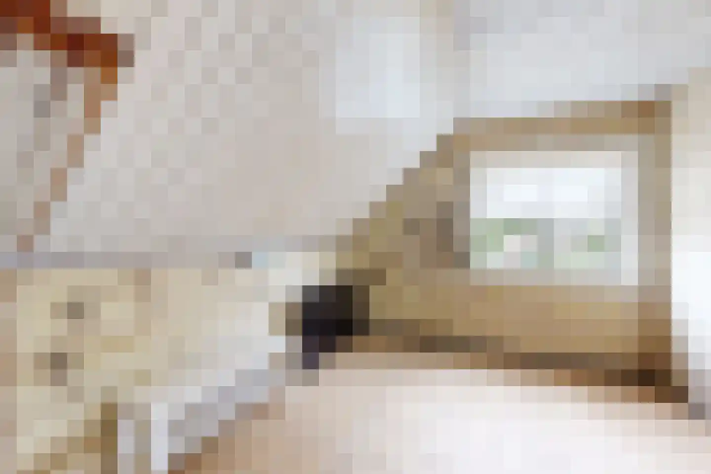 Edvard Griegstraat 6 Fijnaart thumbnail 49