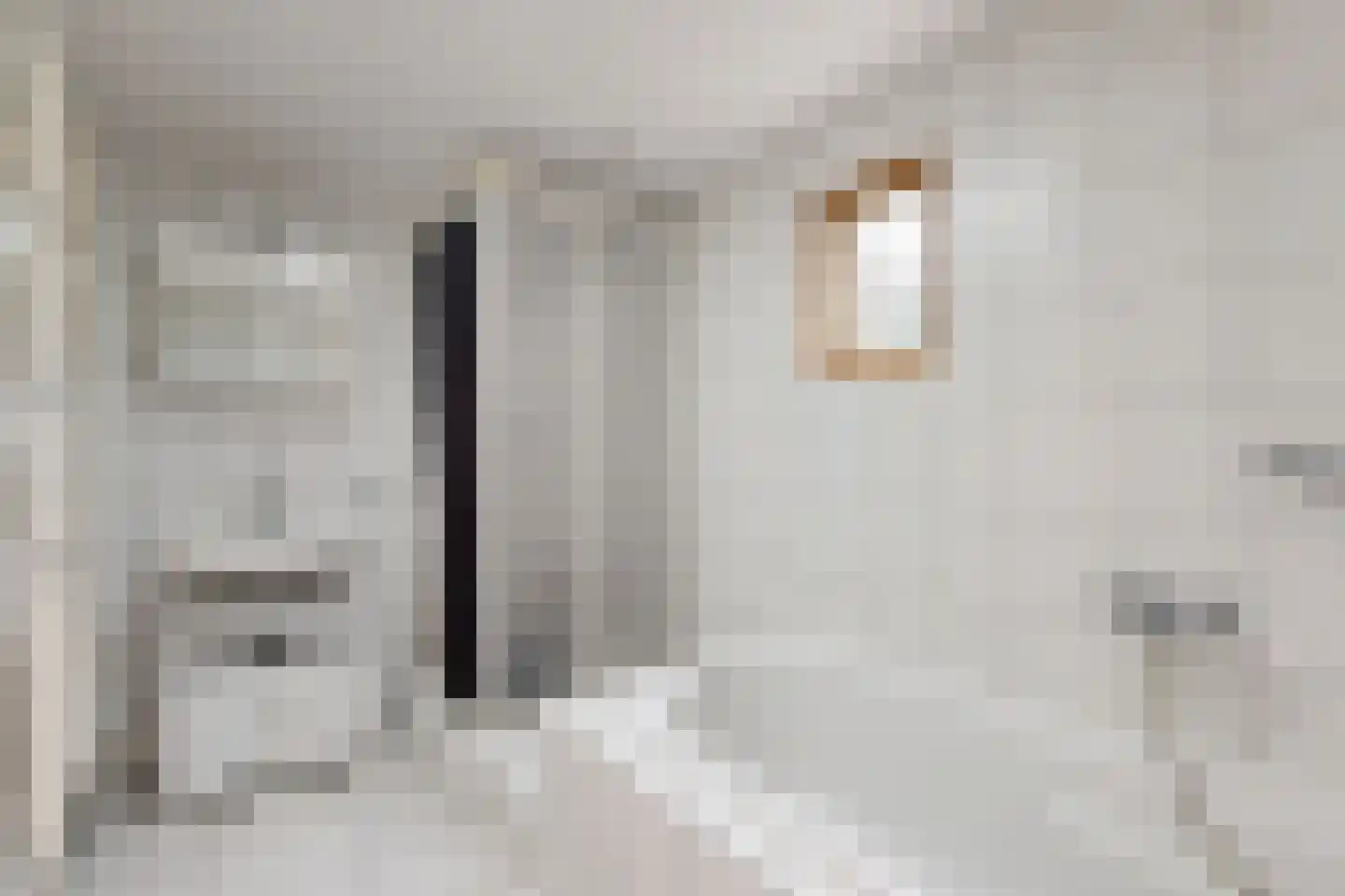 Edvard Griegstraat 6 Fijnaart thumbnail 5