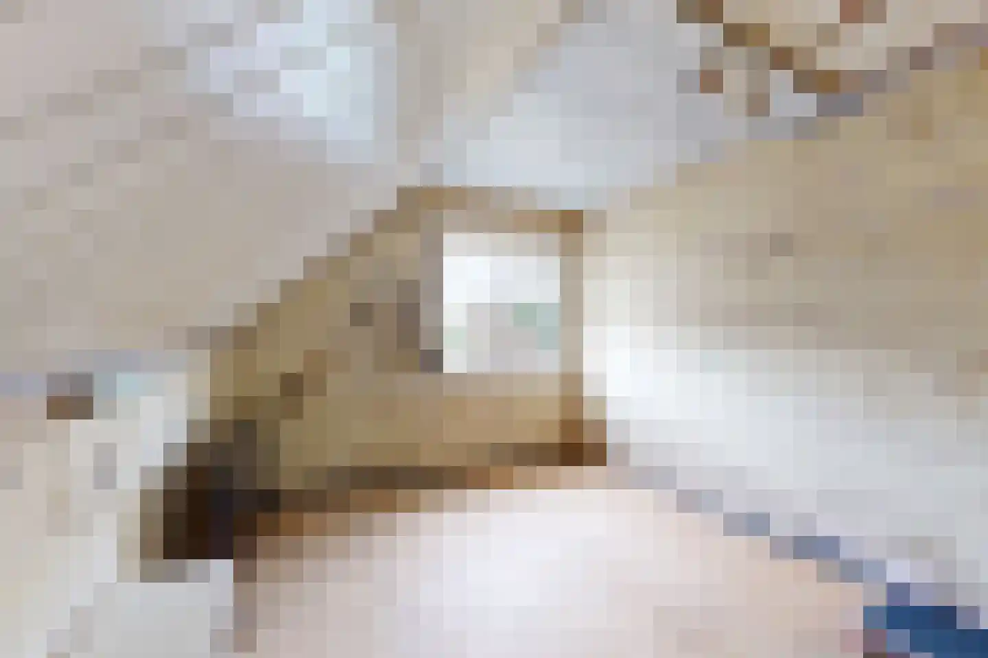 Edvard Griegstraat 6 Fijnaart thumbnail 50
