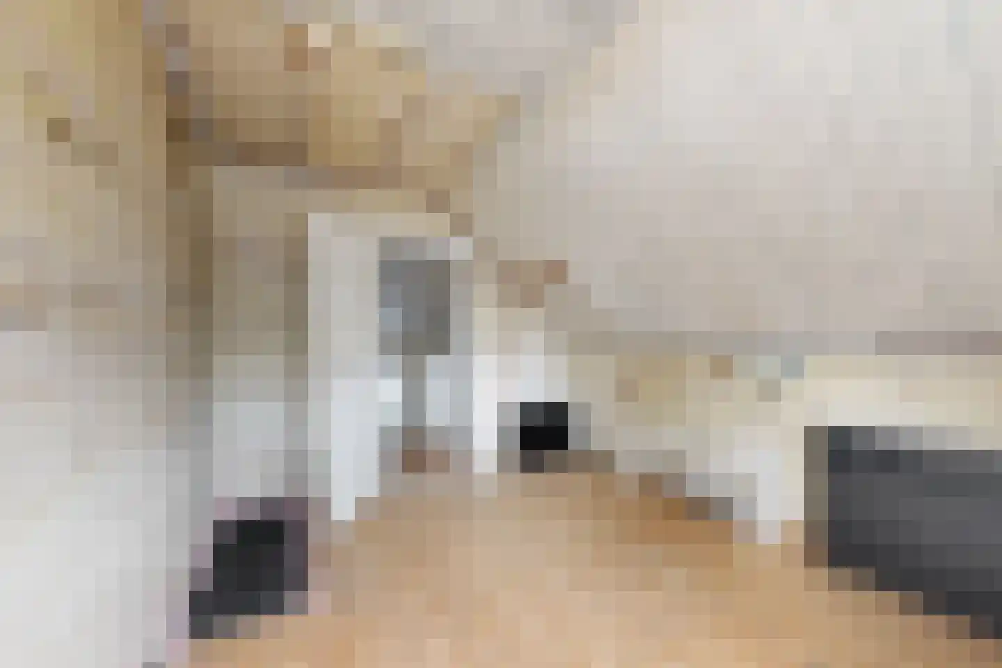Edvard Griegstraat 6 Fijnaart thumbnail 51