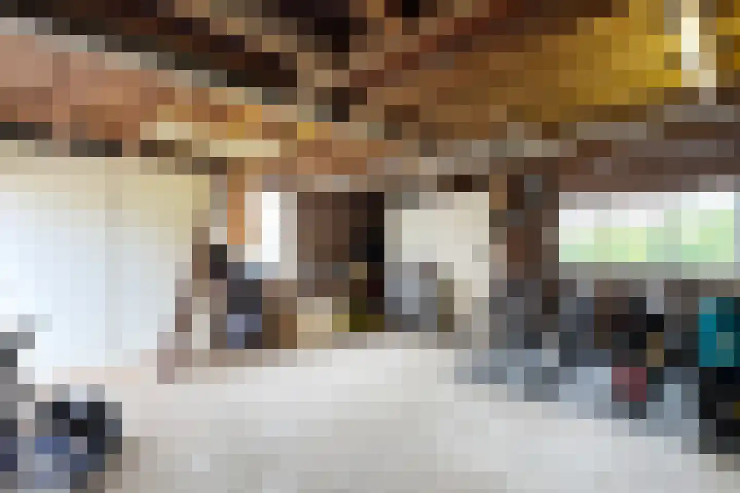 Edvard Griegstraat 6 Fijnaart thumbnail 54
