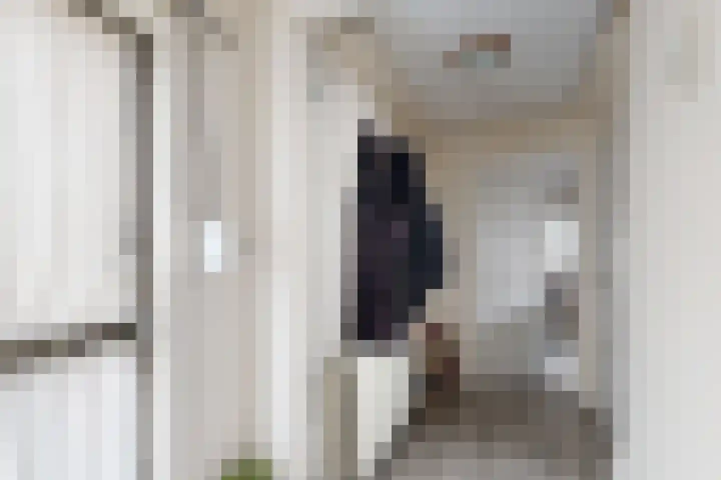 Edvard Griegstraat 6 Fijnaart thumbnail 9