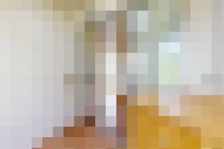 Edvard Griegstraat 9 Fijnaart thumbnail 22