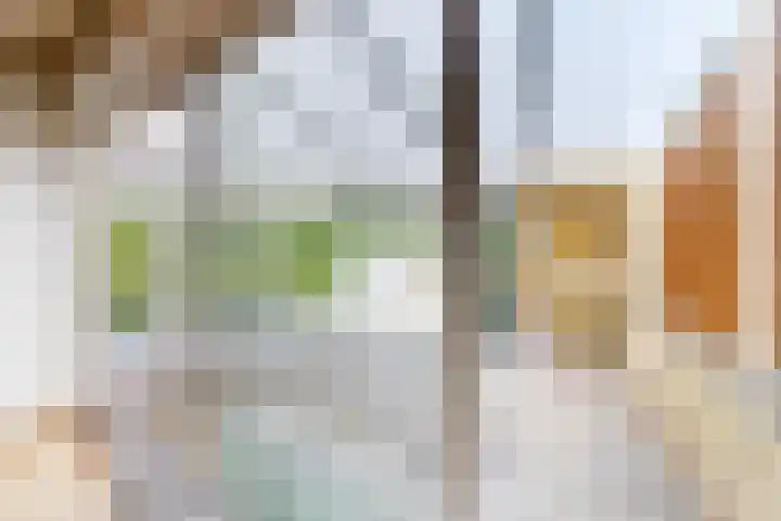 Edvard Griegstraat 9 Fijnaart thumbnail 23