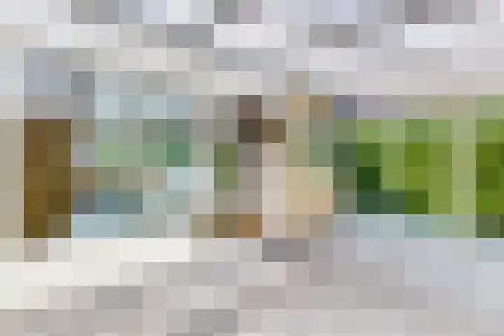 Edvard Griegstraat 9 Fijnaart thumbnail 24