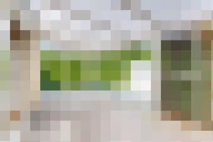 Edvard Griegstraat 9 Fijnaart thumbnail 25