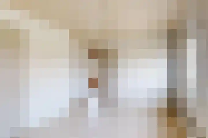 Edvard Griegstraat 9 Fijnaart thumbnail 28
