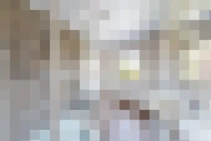 Edvard Griegstraat 9 Fijnaart thumbnail 35