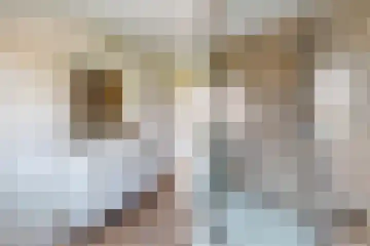 Edvard Griegstraat 9 Fijnaart thumbnail 36