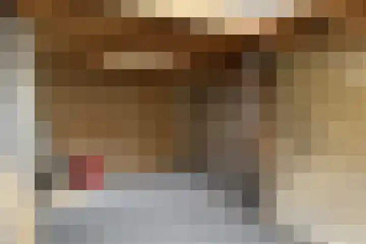 Edvard Griegstraat 9 Fijnaart thumbnail 43