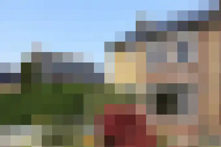 Edvard Griegstraat 9 Fijnaart thumbnail 49