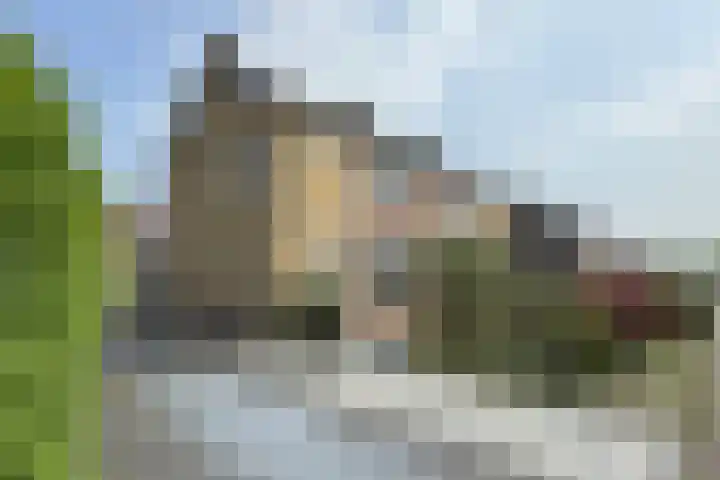 Edvard Griegstraat 9 Fijnaart thumbnail 53