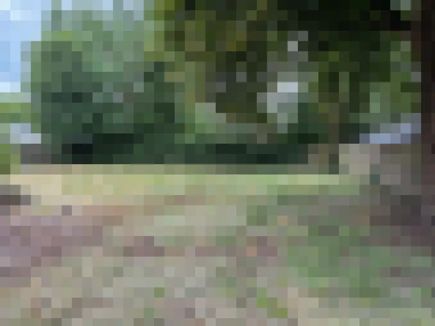 Edveensweg 12 Oosterhesselen thumbnail 10