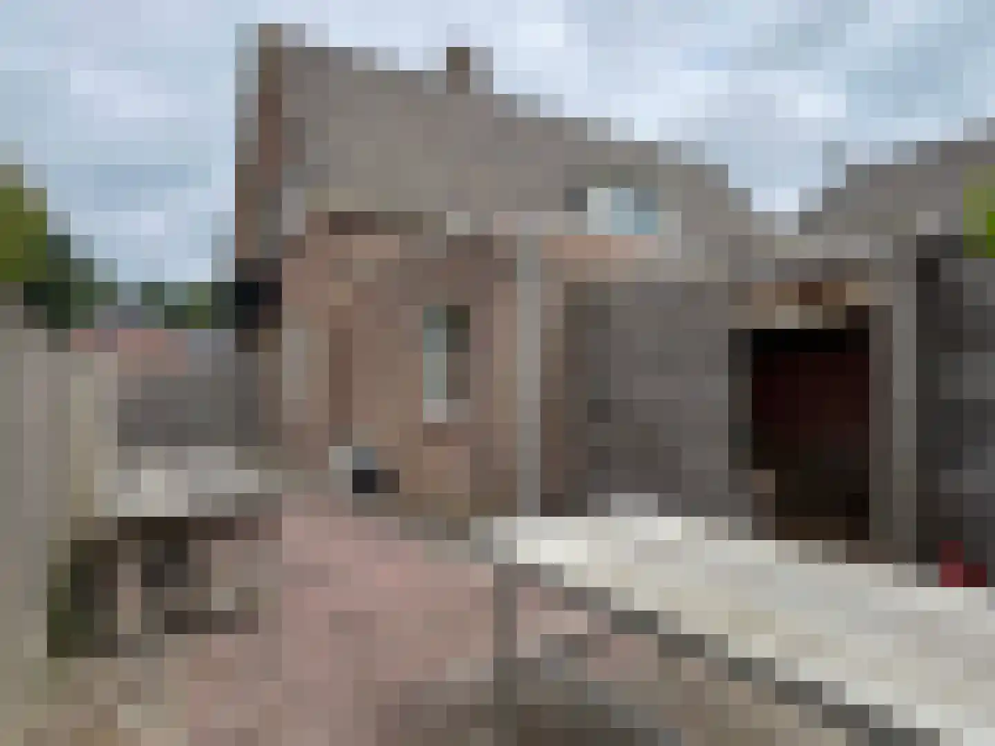 Edveensweg 12 Oosterhesselen thumbnail 14