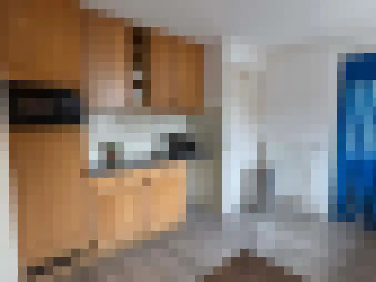 Edveensweg 12 Oosterhesselen thumbnail 17