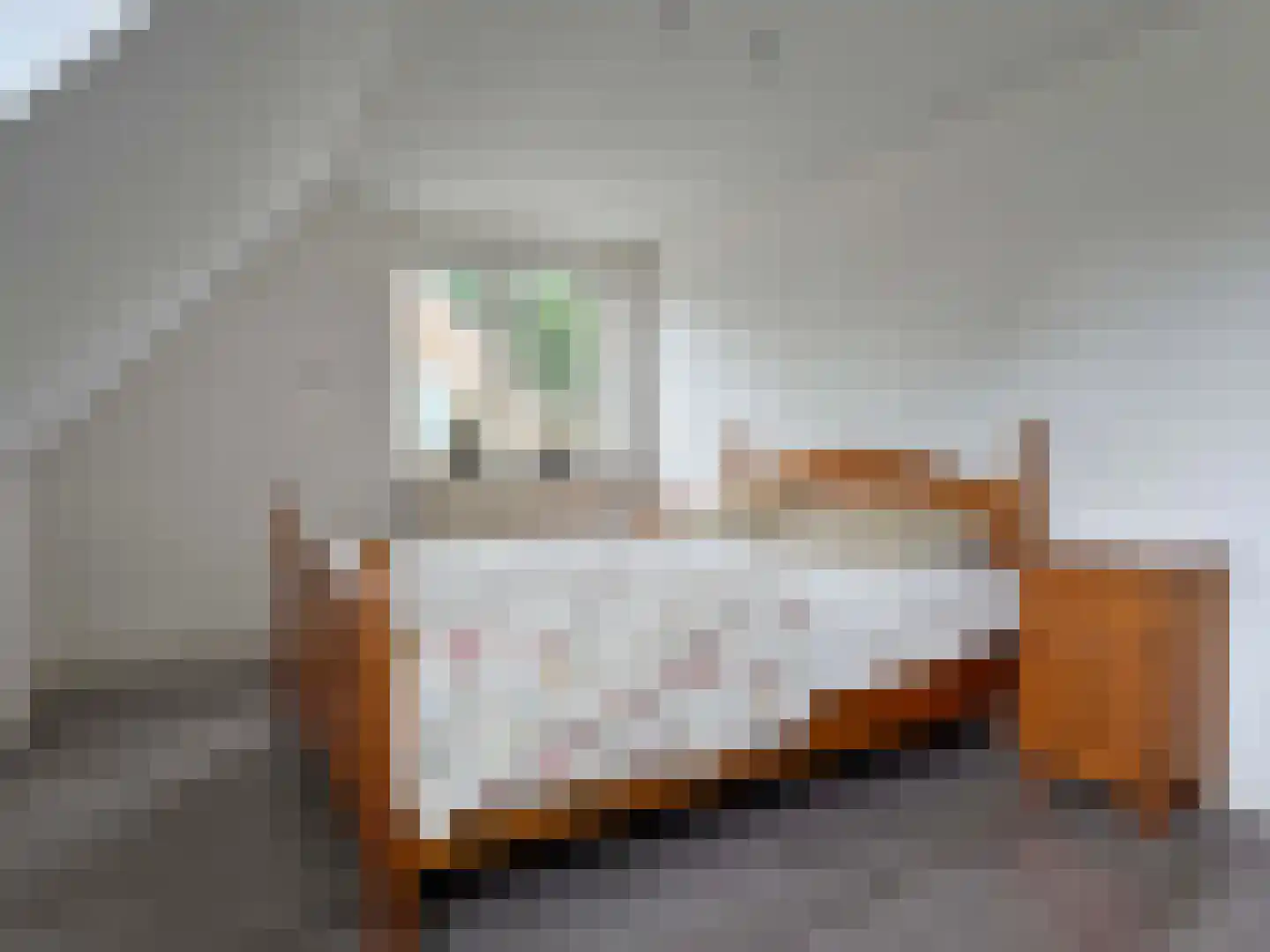 Edveensweg 12 Oosterhesselen thumbnail 20