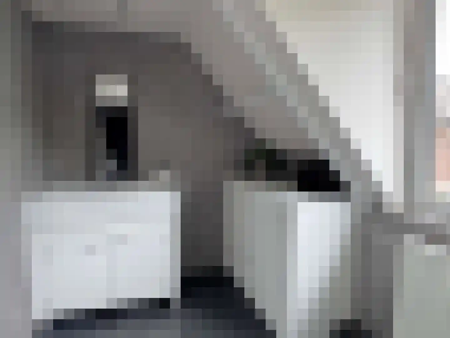 Edveensweg 12 Oosterhesselen thumbnail 22