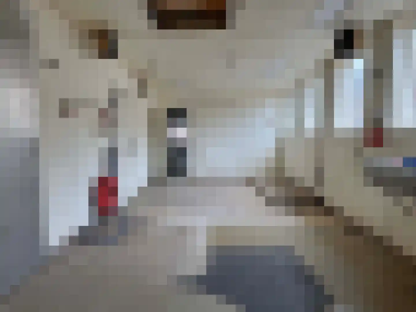 Edveensweg 12 Oosterhesselen thumbnail 30