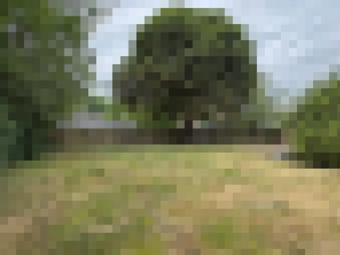 Edveensweg 12 Oosterhesselen thumbnail 4