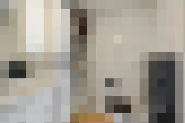 Edveensweg 50 Oosterhesselen thumbnail 17