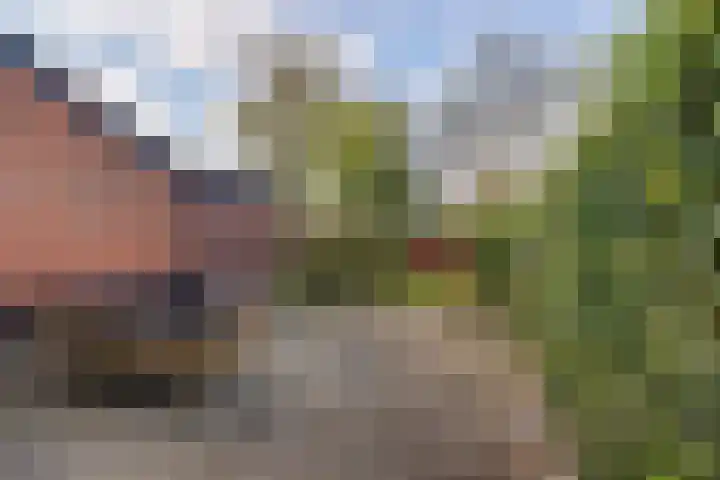 Edveensweg 50 Oosterhesselen thumbnail 25