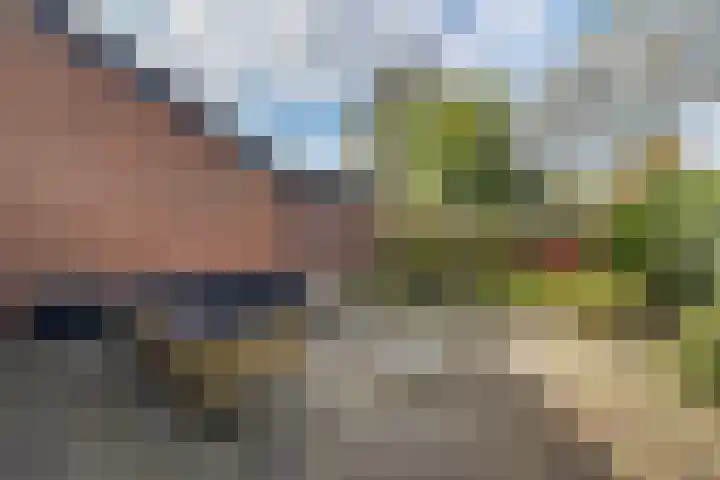 Edveensweg 50 Oosterhesselen thumbnail 26