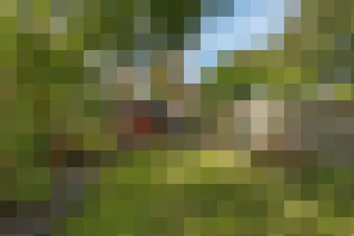 Edveensweg 50 Oosterhesselen thumbnail 27
