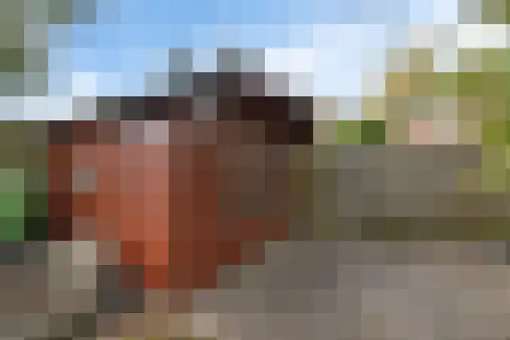 Edveensweg 50 Oosterhesselen thumbnail 28