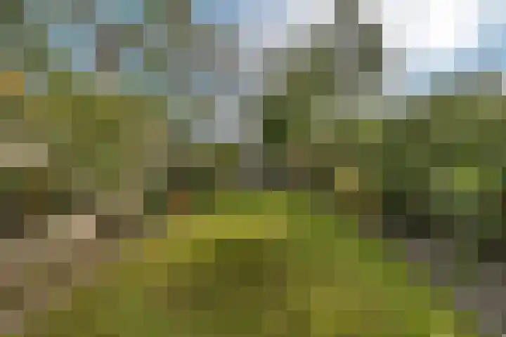 Edveensweg 50 Oosterhesselen thumbnail 29