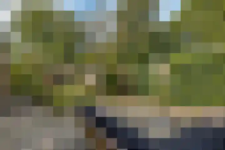 Edveensweg 50 Oosterhesselen foto 3