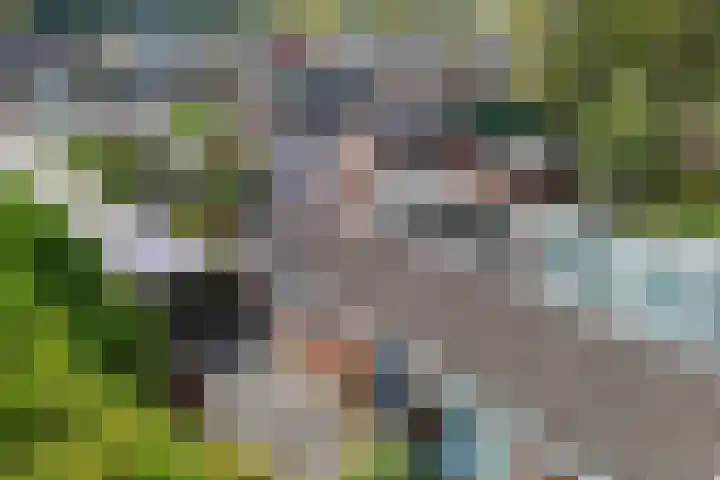Edveensweg 50 Oosterhesselen thumbnail 31