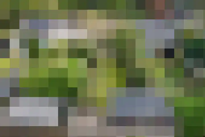Edveensweg 50 Oosterhesselen thumbnail 33