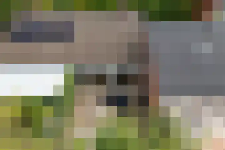 Edveensweg 50 Oosterhesselen thumbnail 34