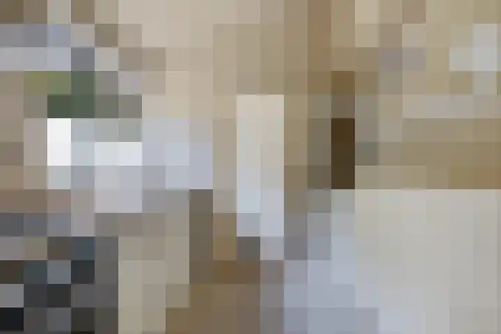 Edveensweg 50 Oosterhesselen thumbnail 5