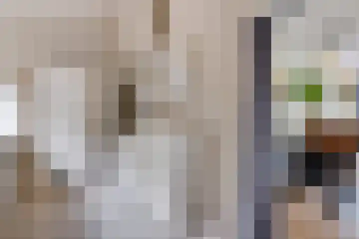 Edveensweg 50 Oosterhesselen thumbnail 7
