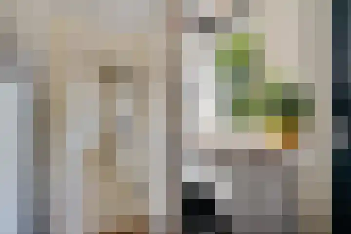 Edveensweg 50 Oosterhesselen thumbnail 8