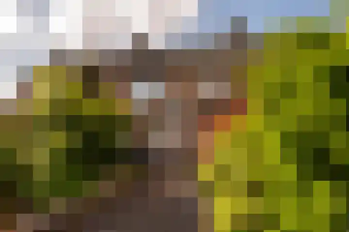 Edward Jennerstraat 19 Hoogerheide thumbnail 25